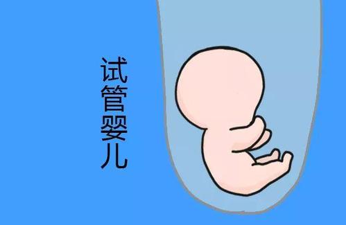 好孕案例